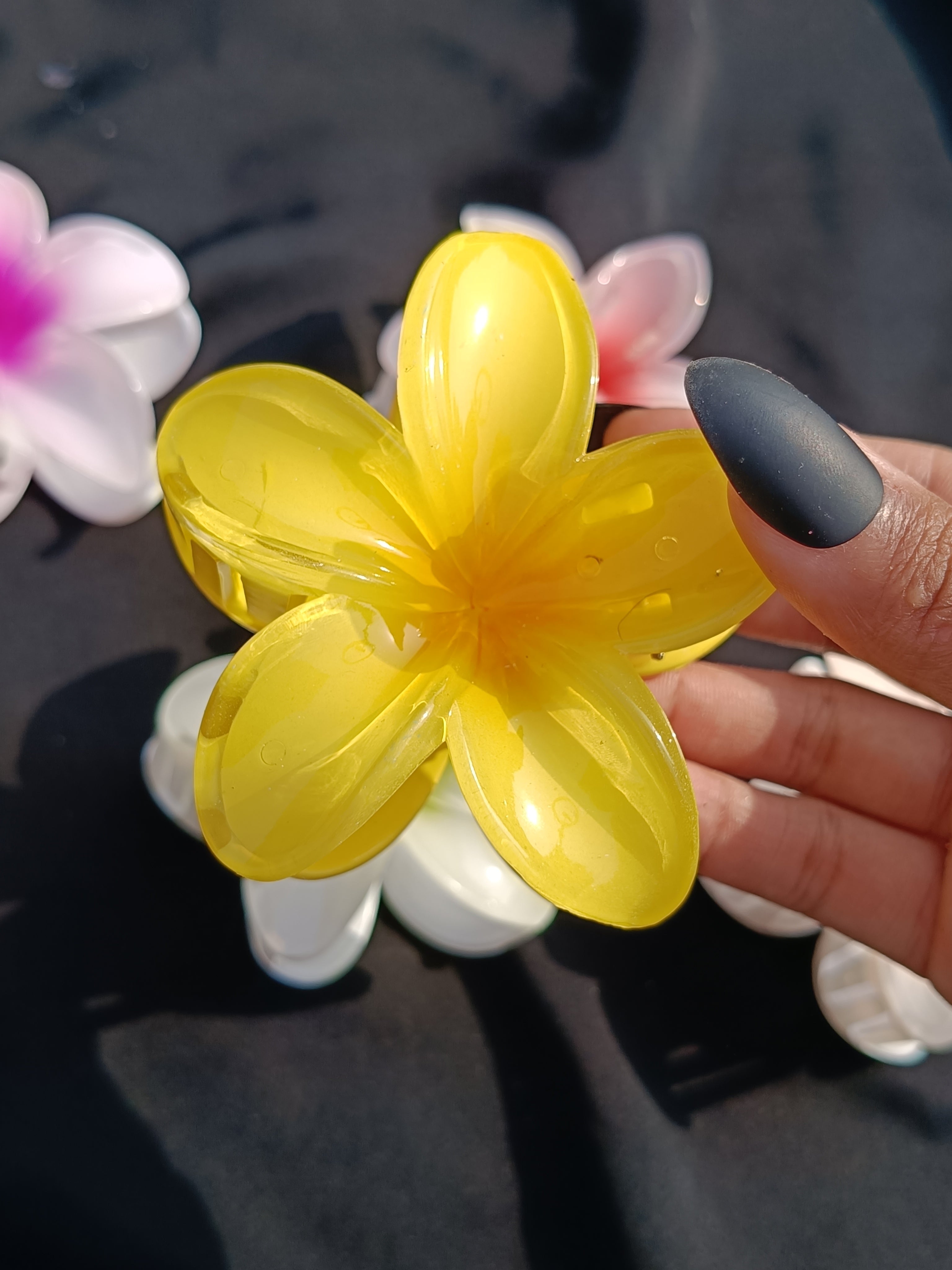 Pinteresty Claw Clip